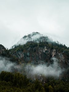 Превью обои туман, вершина, лес, скалы, горы