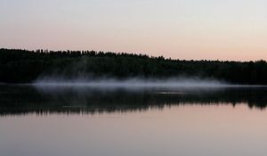 Превью обои туман, водная поверхность, деревья, берег, вечер, очертания