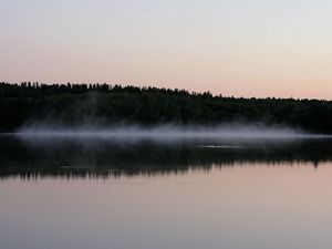 Превью обои туман, водная поверхность, деревья, берег, вечер, очертания