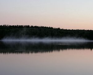 Превью обои туман, водная поверхность, деревья, берег, вечер, очертания