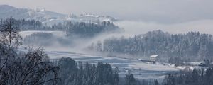 Превью обои туман, зима, деревья, пихты, снег, швейцария