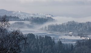 Превью обои туман, зима, деревья, пихты, снег, швейцария