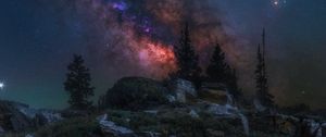 Превью обои туманность, деревья, ромашки, скалы, ночь