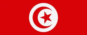 Превью обои тунис, флаг, звезда, символика