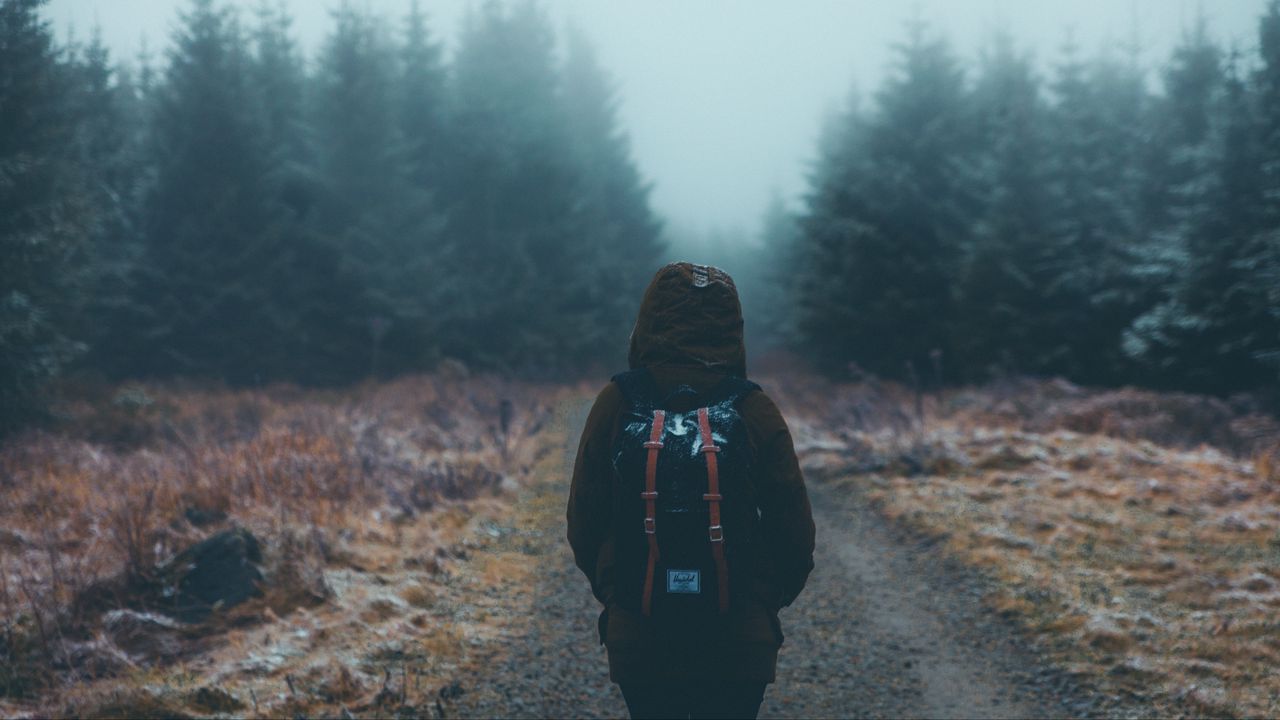Обои турист, прогулка, рюкзак, лес, туман
