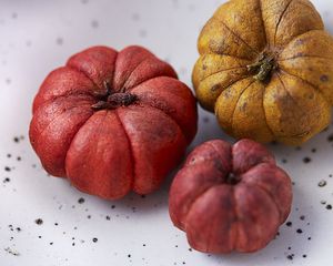 Превью обои тыквы, осень, хэллоуин, урожай