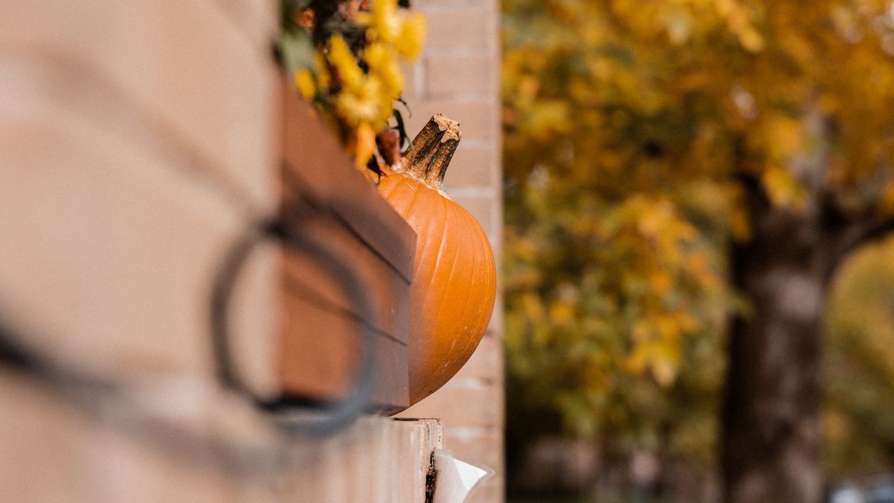 Обои тыквы, осень, хэллоуин, здание
