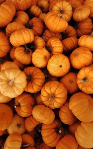 Превью обои тыквы, осень, хэллоуин, урожай, овощи