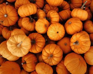 Превью обои тыквы, осень, хэллоуин, урожай, овощи