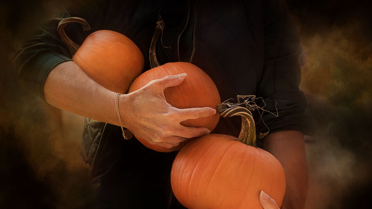 Обои тыквы, руки, оранжевый, осень