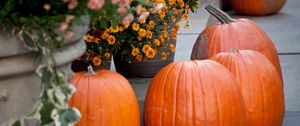 Превью обои тыквы, цветы, осень, хэллоуин, декор