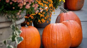 Превью обои тыквы, цветы, осень, хэллоуин, декор