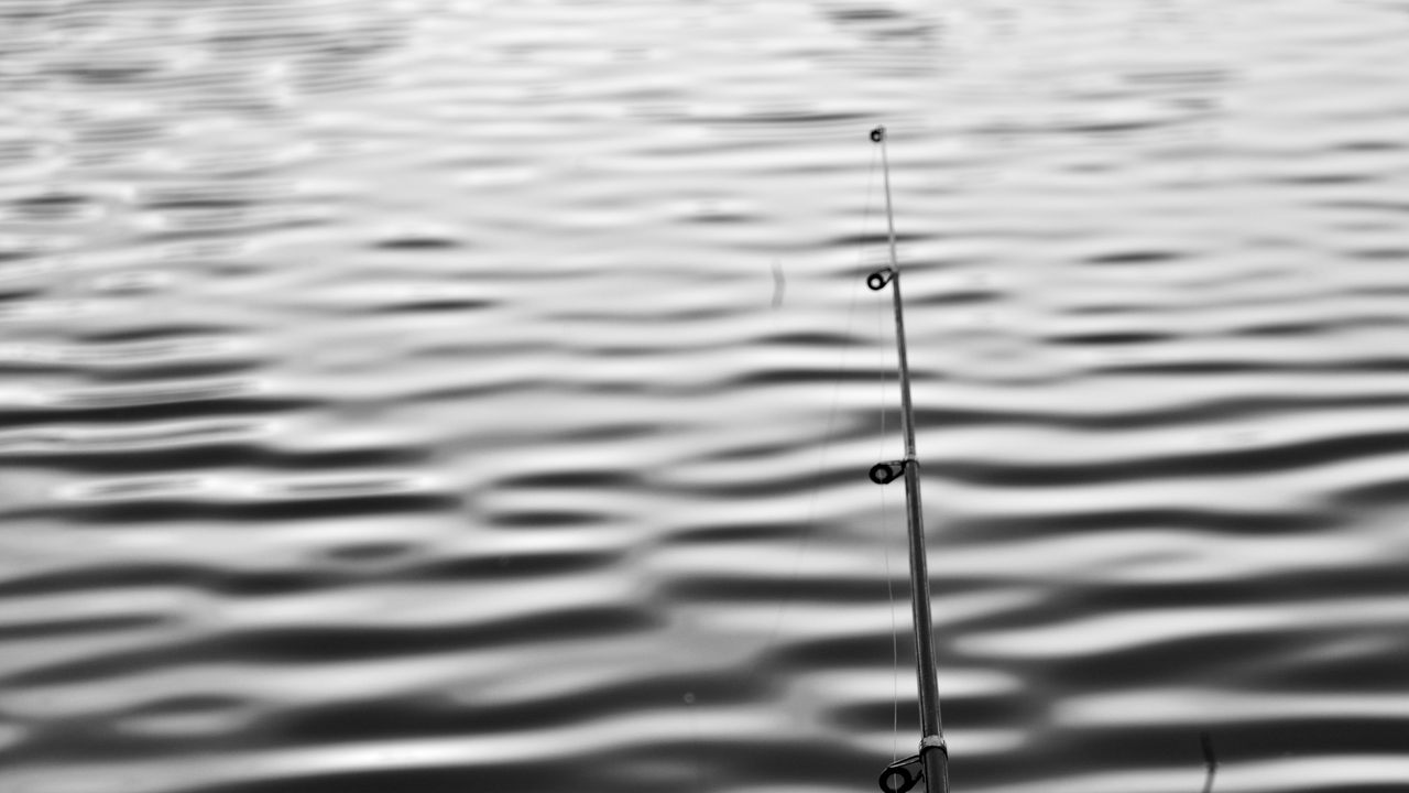 Обои удочка, вода, рыбалка, рябь, минимализм, черно-белый