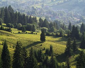 Превью обои украина, закарпатская область, межгорский район, пилипец