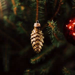 Превью обои украшение, шишка, елка, новый год, рождество