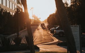 Превью обои улица, деревья, здания, машины, солнечный свет