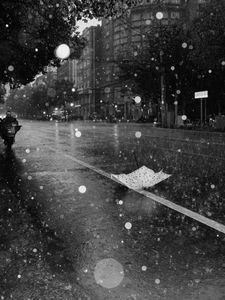 Превью обои улица, дождь, чб, зонтик, асфальт, мокрый