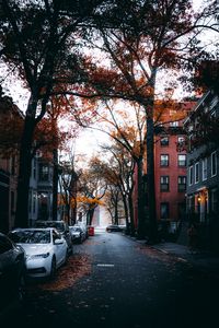 Превью обои улица, город, осень, автомобили, деревья
