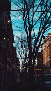 Превью обои улица, лампы, деревья, вечер