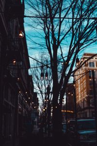 Превью обои улица, лампы, деревья, вечер