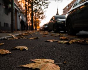 Превью обои улица, листья, асфальт, город, осень