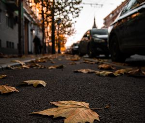 Превью обои улица, листья, асфальт, город, осень