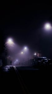 Превью обои улица, ночь, силуэты, фонари, туман