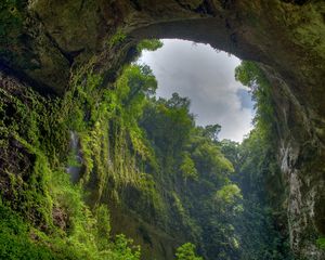 Превью обои ущелье, арка, скала, растительность, зеленый, небо, облака, снизу