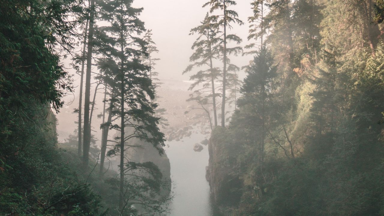Обои ущелье, река, туман, скалы, деревья
