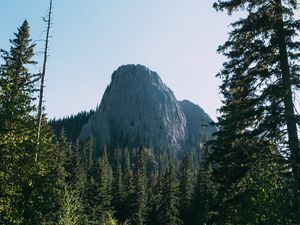 Превью обои утес, скала, деревья, тропинка, трава