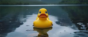 Превью обои утка, озеро, горы, небо