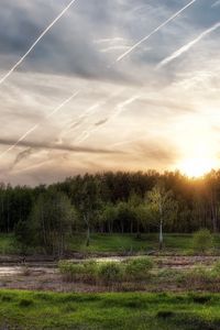 Превью обои утро, лето, деревья, небо, линии, зеленый