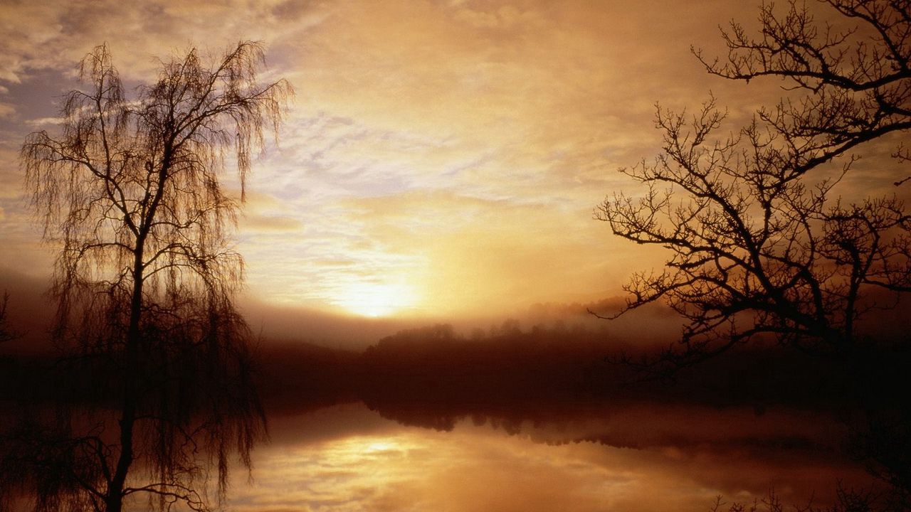Обои утро, туман, озеро, деревья, рассвет, очертания