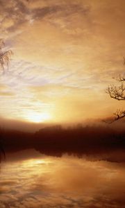 Превью обои утро, туман, озеро, деревья, рассвет, очертания
