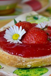 Превью обои варенье, клубника, ромашка