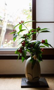 Превью обои ваза, растение, ветки, ягоды, окно