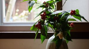 Превью обои ваза, растение, ветки, ягоды, окно
