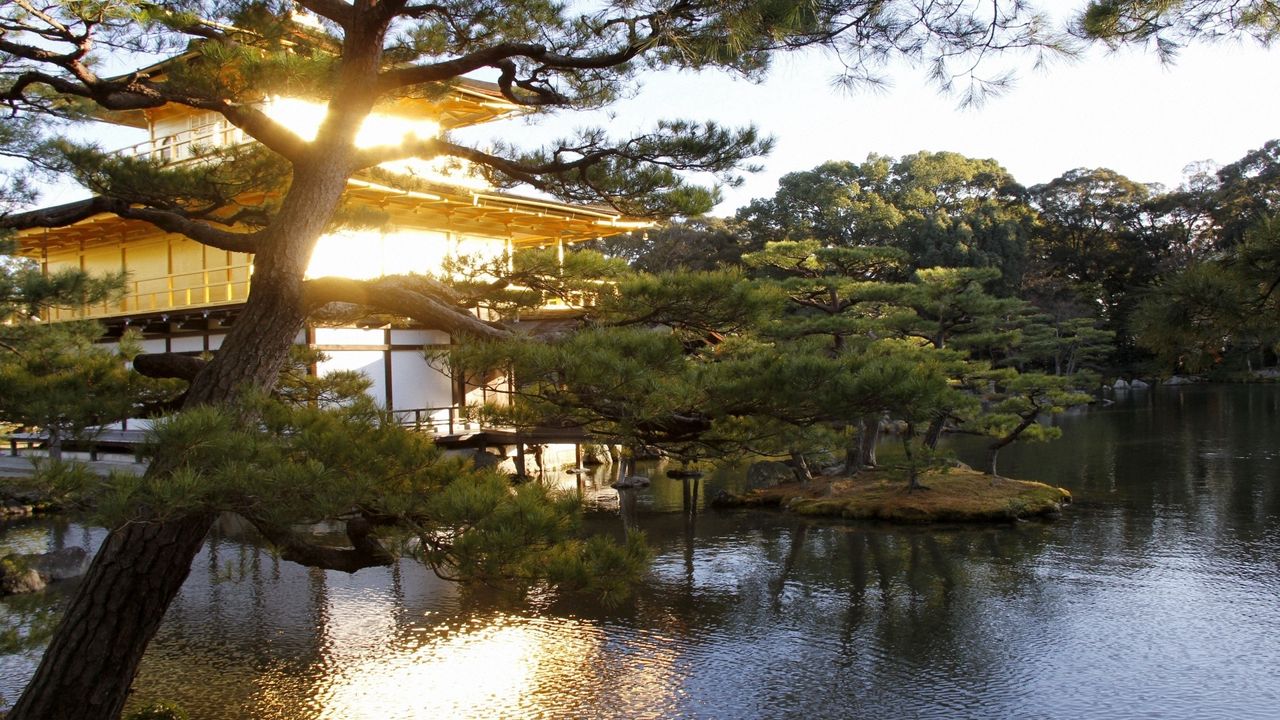 Обои вечер, япония, особняк, вода, сад, деревья