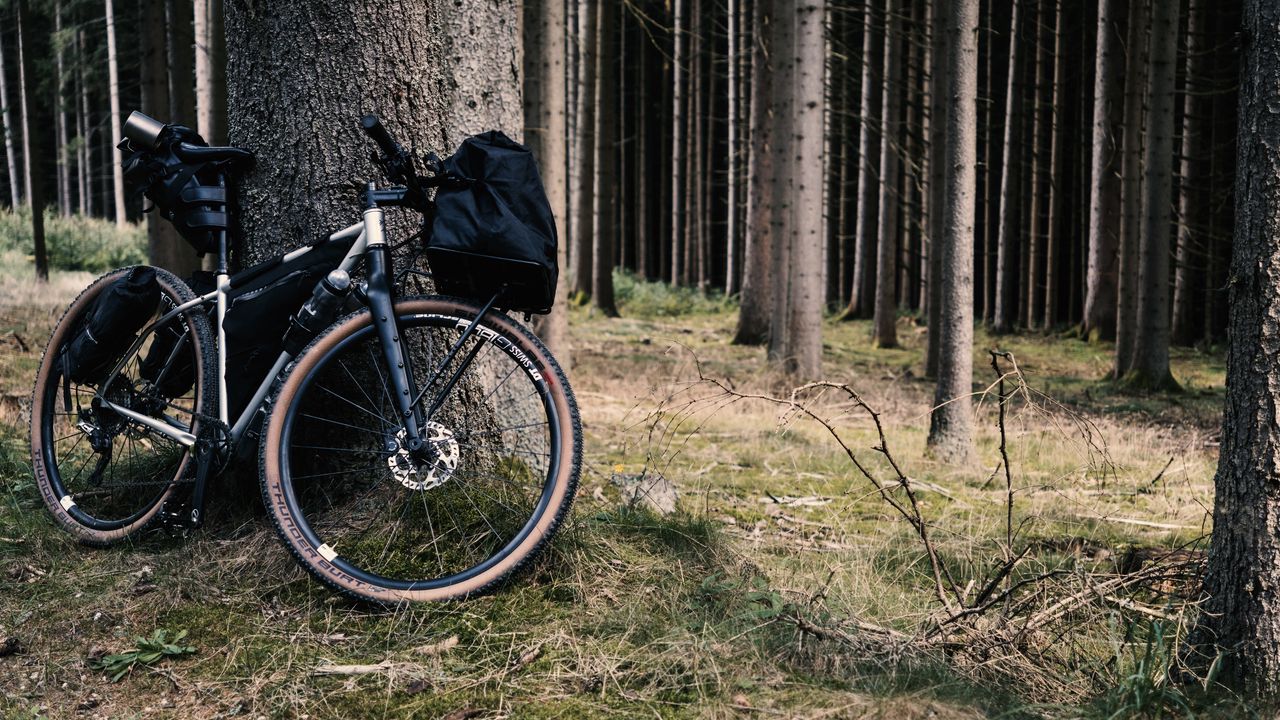 Обои велосипед, байк, лес, дерево, путешествия