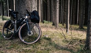 Превью обои велосипед, байк, лес, дерево, путешествия