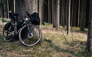 Превью обои велосипед, байк, лес, дерево, путешествия