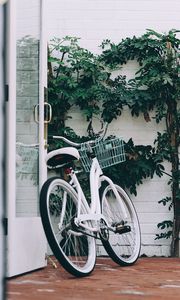 Превью обои велосипед, белый, листья, растение