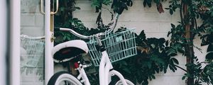 Превью обои велосипед, белый, листья, растение