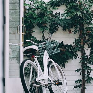 Превью обои велосипед, белый, листья, растение