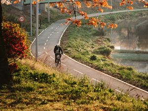 Превью обои велосипед, человек, шлем, дорога, деревья
