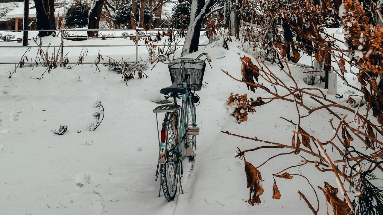 Обои велосипед, деревья, снег, зима