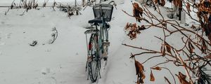 Превью обои велосипед, деревья, снег, зима