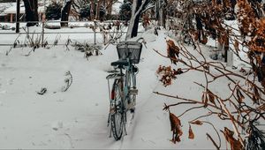 Превью обои велосипед, деревья, снег, зима