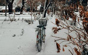 Превью обои велосипед, деревья, снег, зима