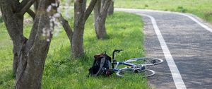 Превью обои велосипед, дорожка, сакуры, деревья, трава